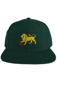 HFNC Snapback